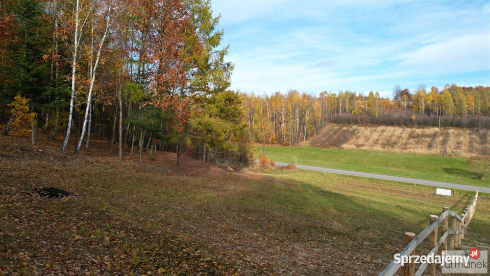 Działka 4182m2 TeodorówkaKolonia telefon lubelskie Teodorówka-Kolonia