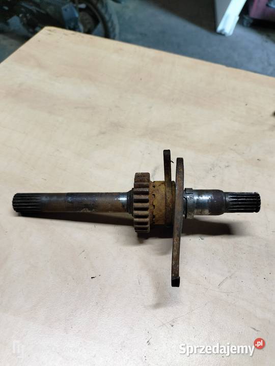 Komar jajko wałek startera Łubno