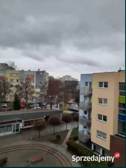 1pok 33met Bajana REMONCIEPIWNICA Wrocław Piętro 3 dolnośląskie