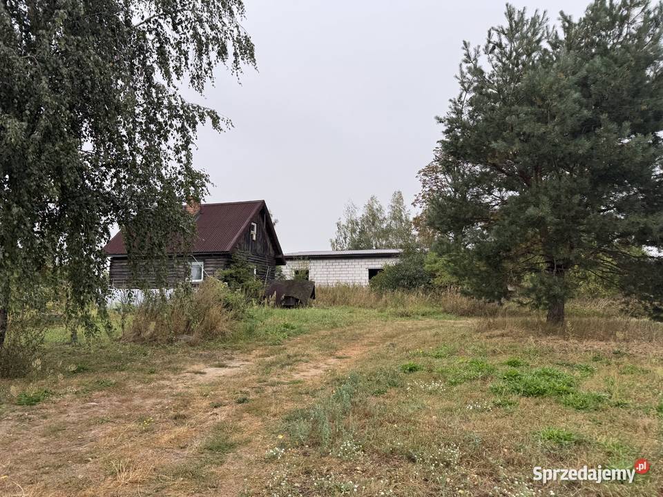 Syndyk sprzeda nieruchomość miejscowość