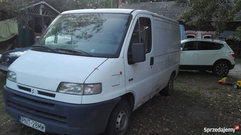 Citron Jumper 19 TD manualna Nowy Tomyśl