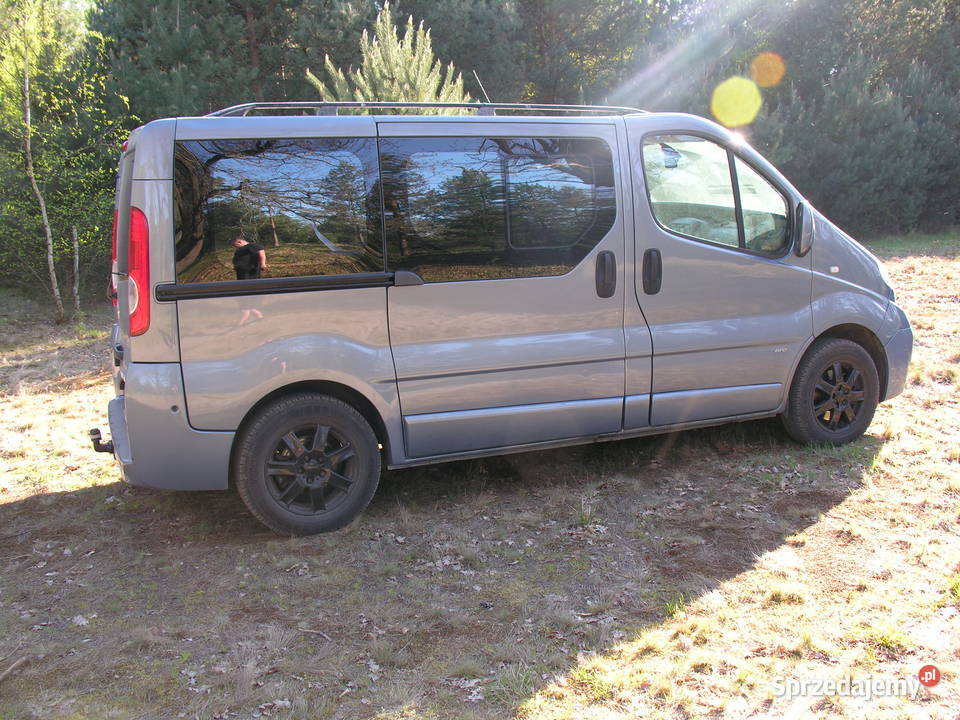 Vivaro Westfalia Zielona Góra