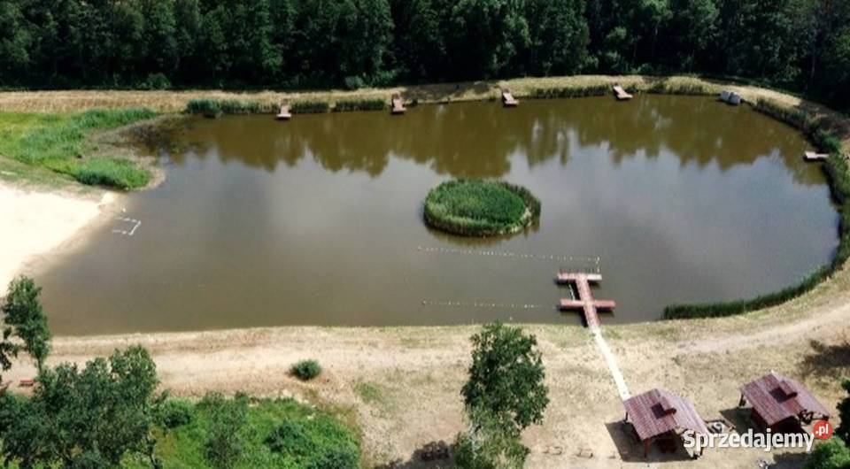Działka budowlana 2100 Konary Wińsko Sprzedaż