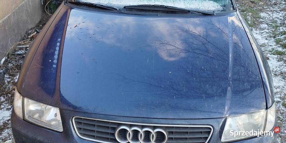 Audi a3 8l wszystkie części Tuliszków sprzedam