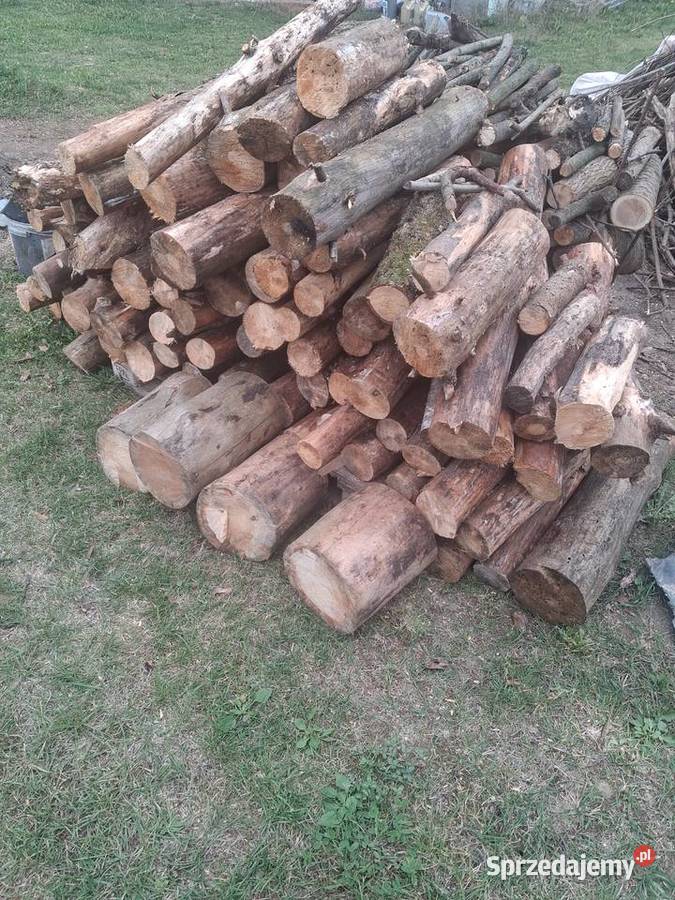drewno sosnowe suszki drewno z leszczyny klona i Lublin sprzedam