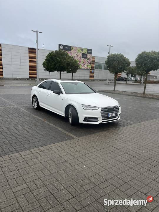 Audi A4 B9 Quattro automat biały LY9C 100 Oborniki