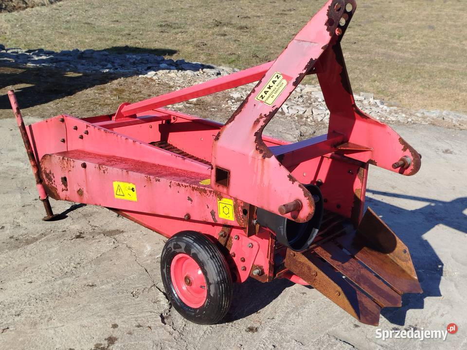 Kopaczka do ziemniaków wyorywacz elewatorowa śląskie sprzedam