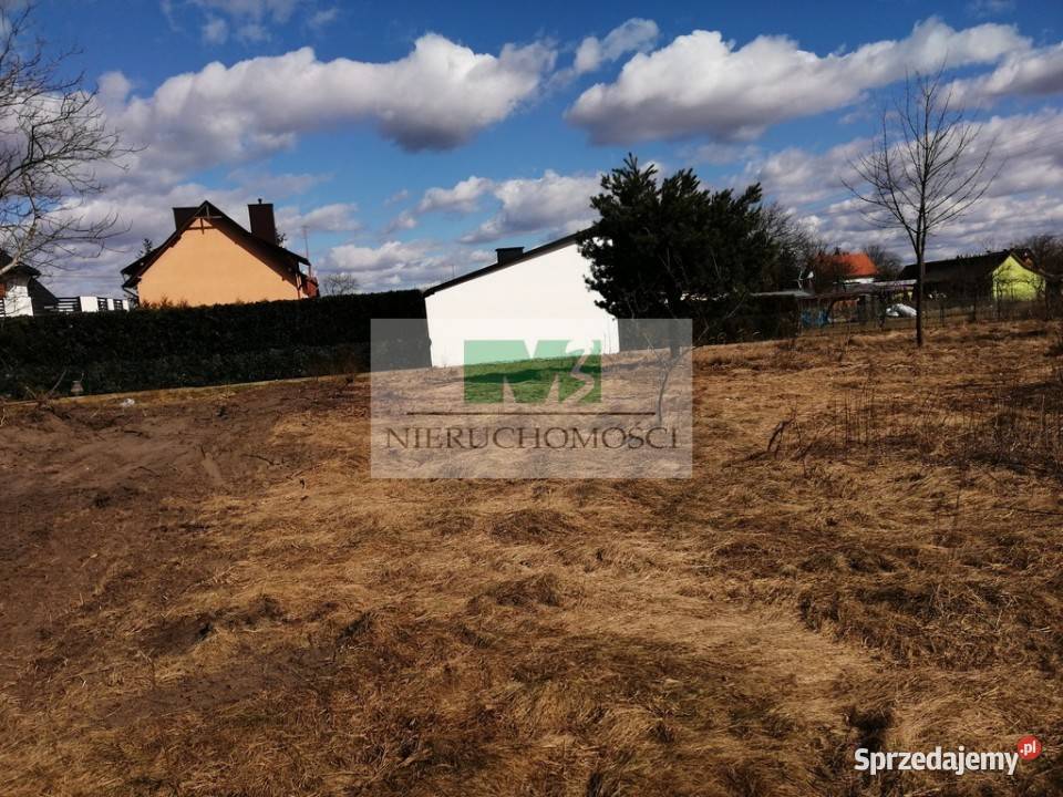Lokal Nowa Sarzyna 85m2