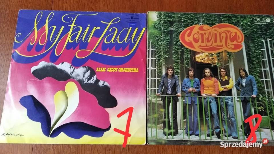 Płyty winylowe różne Wągrowiec