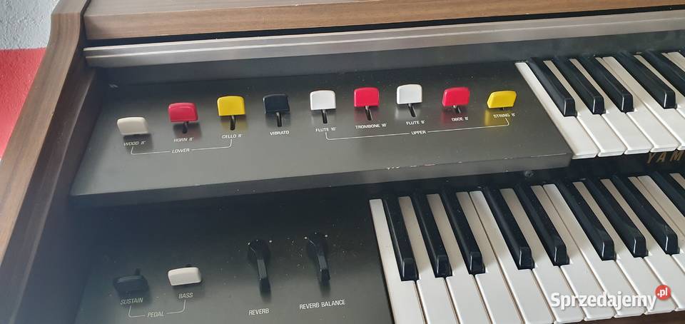 Organy Yamaha Zielona Góra