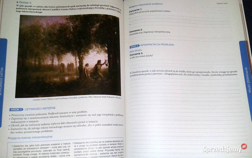 Język polski Teraz matura Zadania i arkusze M Chełm sprzedam