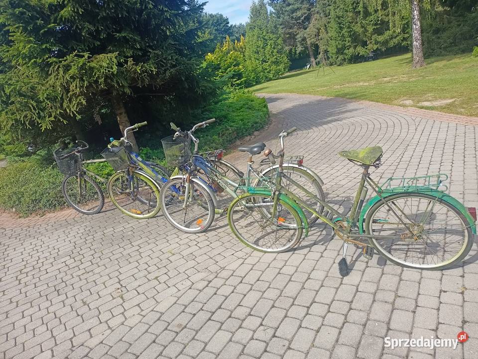 Rower cztery sztuki Pozostałe Bydgoszcz sprzedam