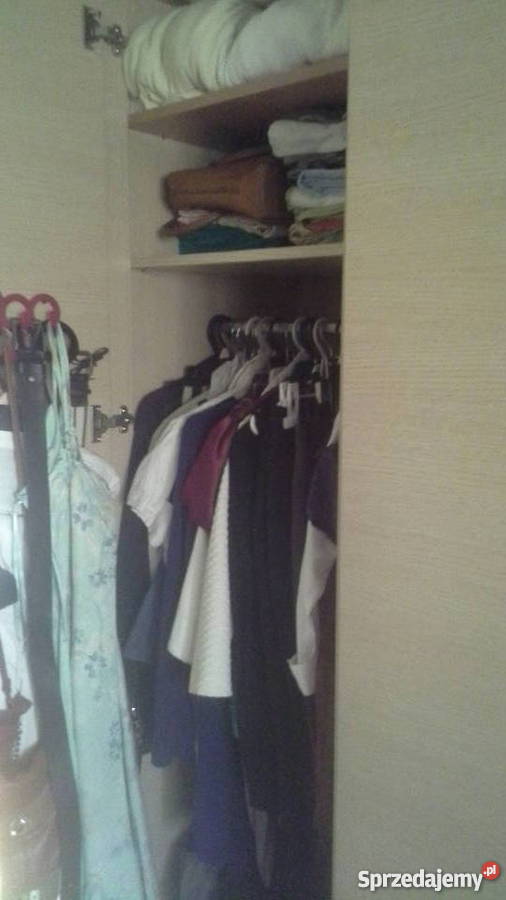 szafa doors dąb milano BRW Zgierz