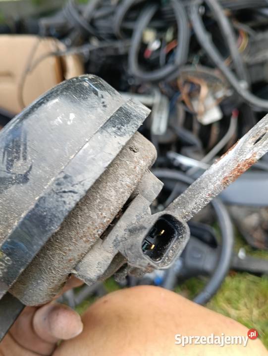 Rover 25 sygnał dźwiękowy osobowe Motoryzacja sprzedam