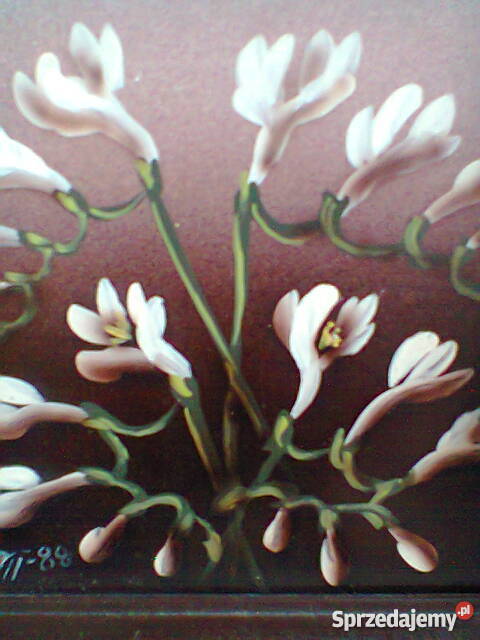 Obrazki olejne kwiaty i pejzarz Szczecin