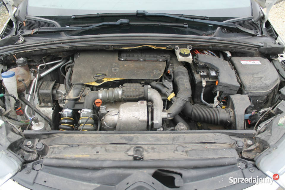 Citroen DS4 wielkopolskie