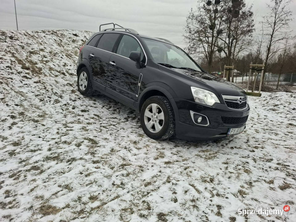 Opel Antara Enjoy 4x4 Serwisowany Zadbany SUV Poznań