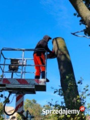 Pielęgnacja drzew terenów zieleni wycinka łódzkie Tomaszów Mazowiecki