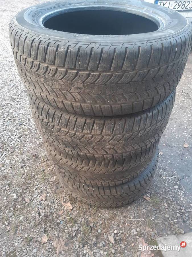 Opony zimowe sava 2355517 Kielce