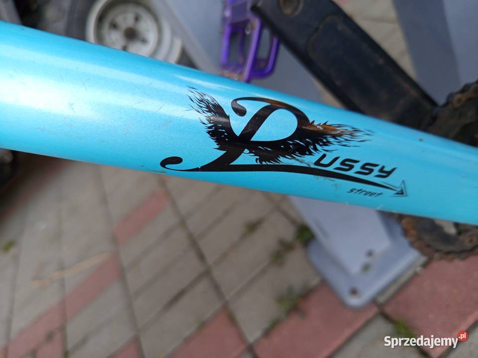 Rower Dirt Jadowniki