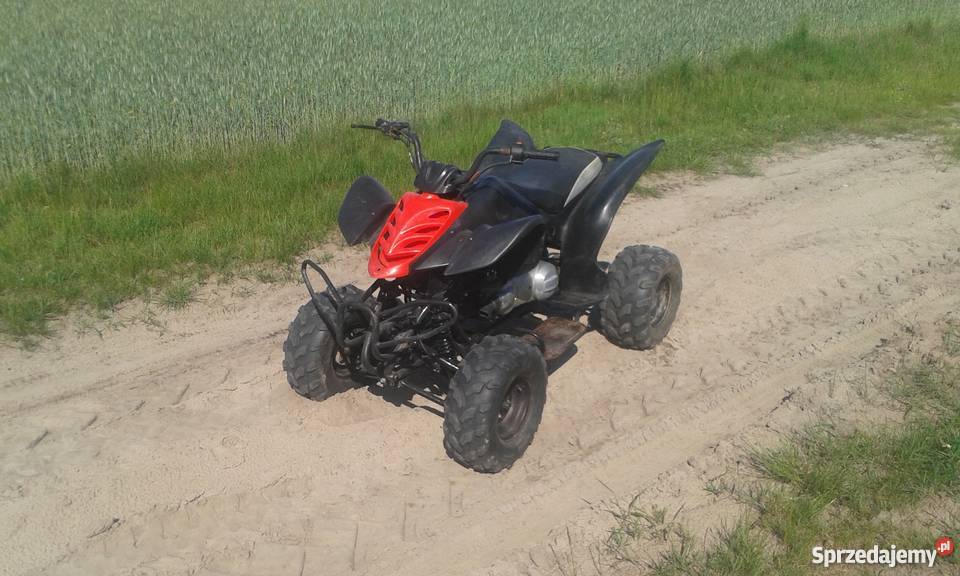 Quad ATV 150cc Alpinus Kingway Boshan nieuszkodzony lubelskie