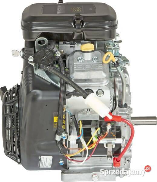 Silnik wał poziomy 23 Vanguard dwucylindrowy Kamionna