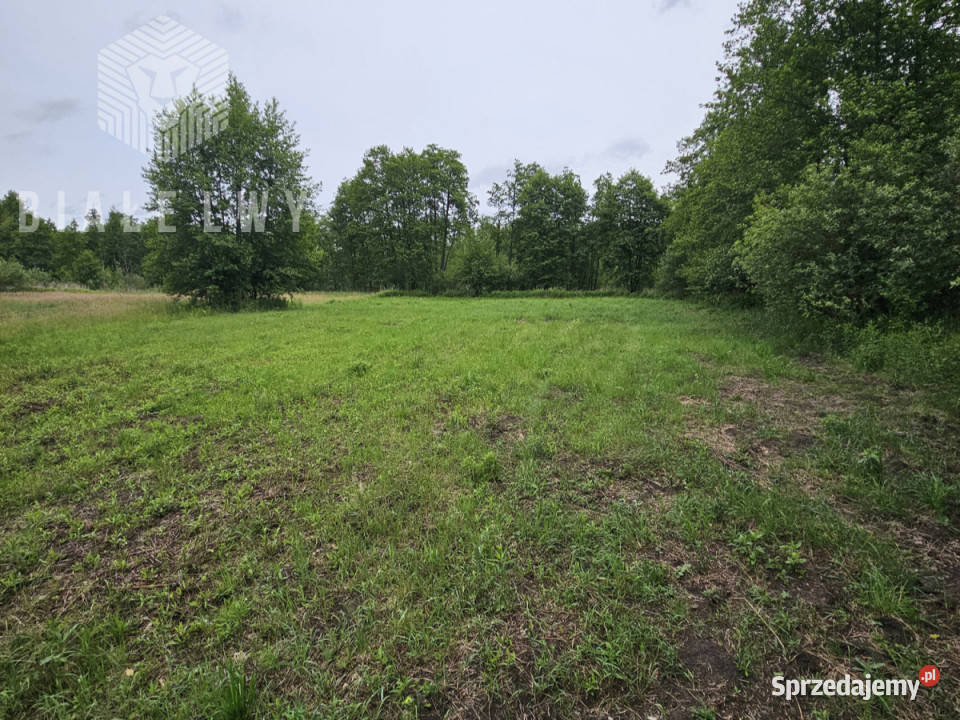 Sprzedaż działki 4158m2 Gorzewo