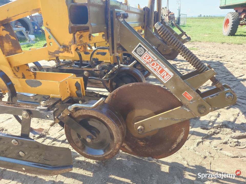 Pielnik do kukurydzy Korfantów