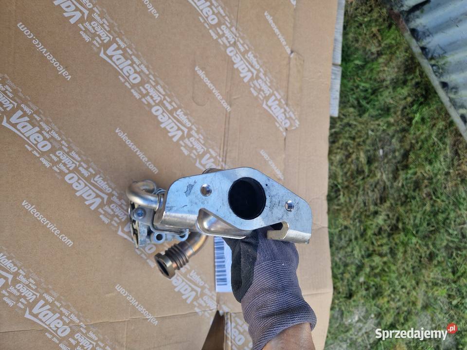 Chłodniczka Egr IvecoDucato 23