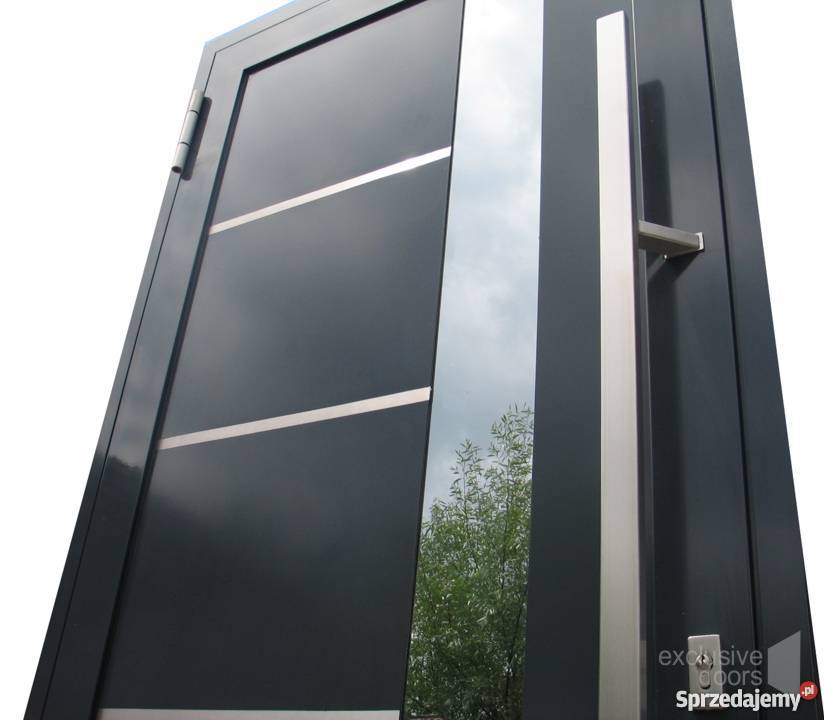 Drzwi do domu wejściowe aluminiowe Schco ADS Piwniczna-Zdrój