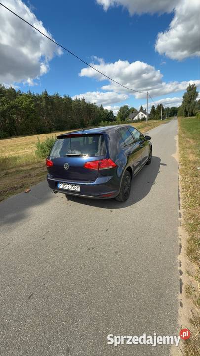 Volkswagen Golf VII 16 TDI 115 wielkopolskie Świeca