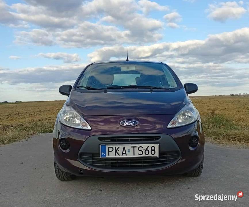 Ford KA 12 benzyna KA KA Chełm