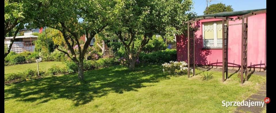 Działka ROD SUCHARSKIEGO Wejherowo 429m2 DOMEK sprzedam