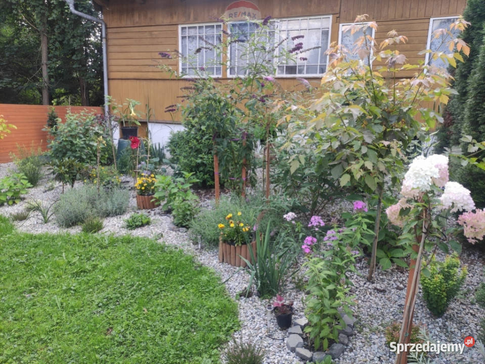 Dom do remontu duży budynek gospodarczy Grabie