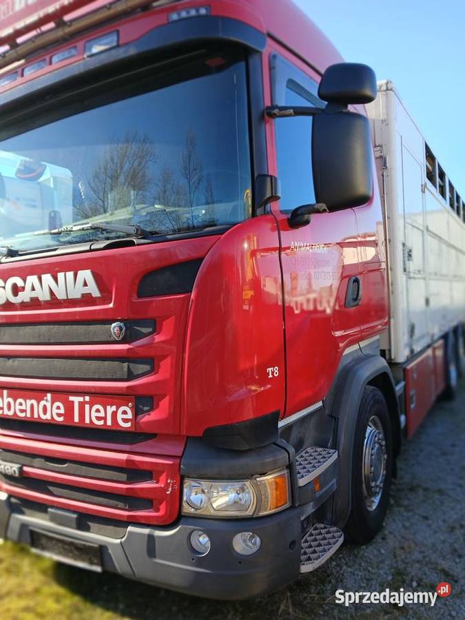 Do przewozu zwierzat Scania R 490 euro 6 nie Warszawa sprzedam