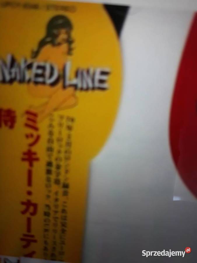 Archiwum hard prog rocka SAMURAI SAMURAI 1970 Rzeszów