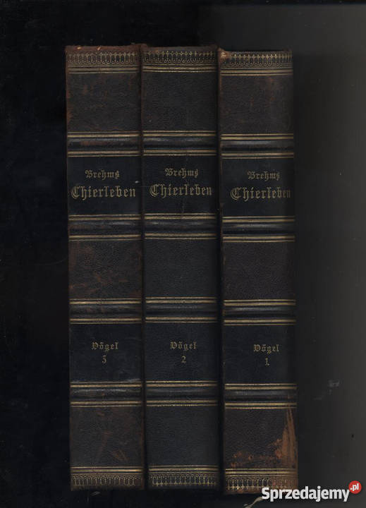 Thierleben Die Vogel T13 Szczecin