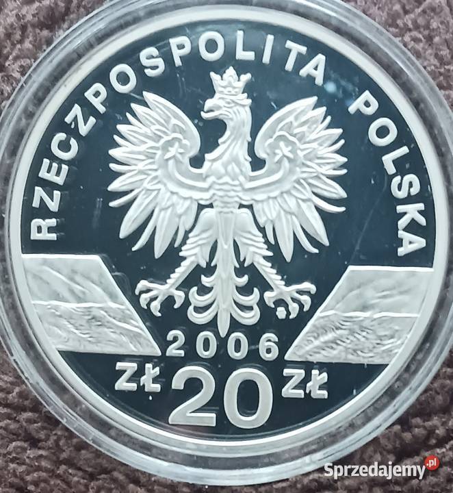 20 Świstak 2006 r Lustrzanka mennicze sprzedam