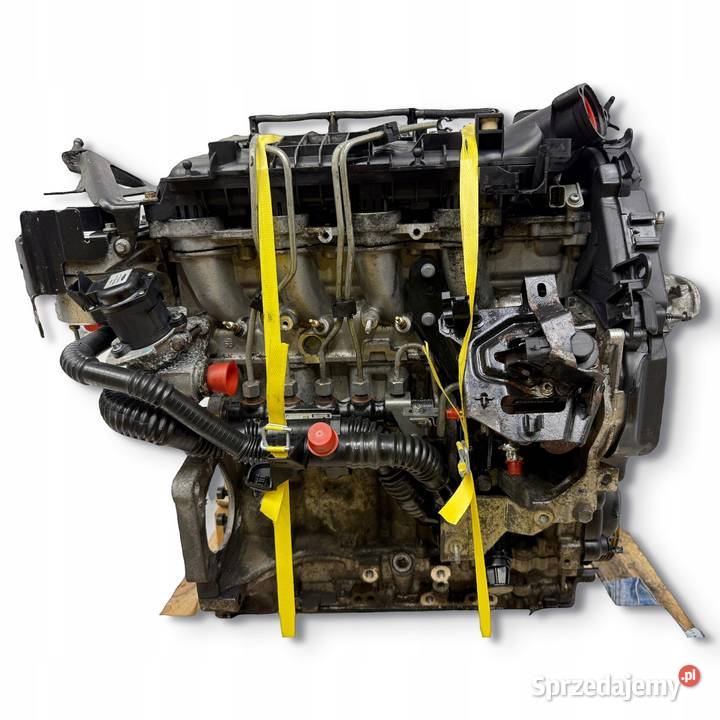 SILNIK KOMPLETNY G8DD Ford Focus II MK2 C C 16 Silniki kompletne Chełm