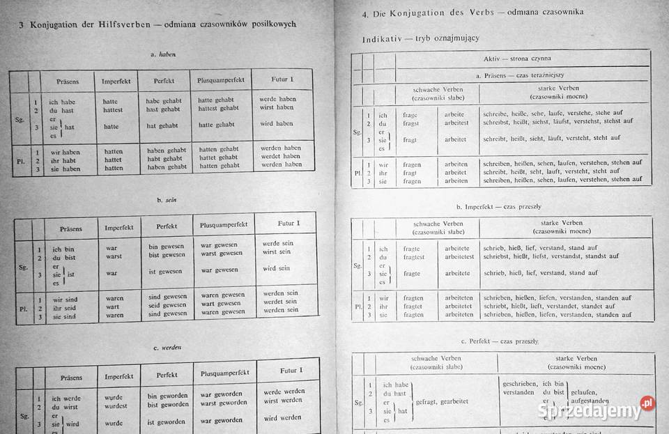 Polnische studenten lernen deutsch Grundstufe Chełm