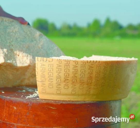 Parmigiano Reggiano Organiczny dojrzewanie 60 Sery Świdnica