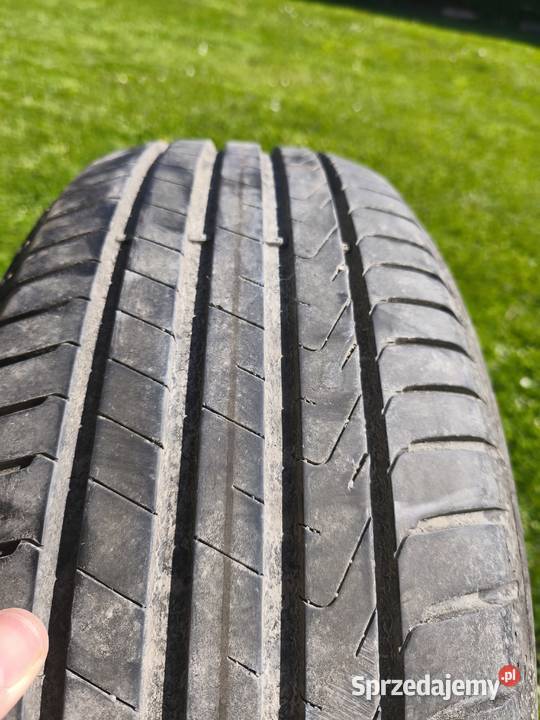 Pirelli Cinturato P7 2022 R17 21555 94V podkarpackie