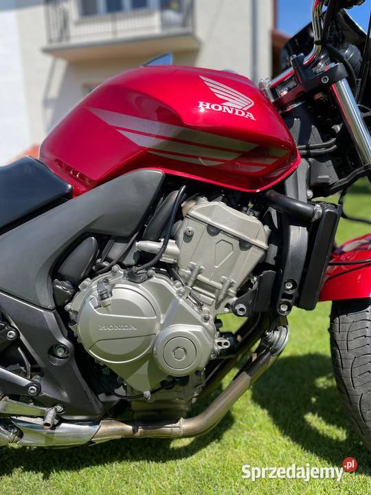 Honda CBF 600 N wtrysk 2008 nieuszkodzony lubuskie Trzebiszewo