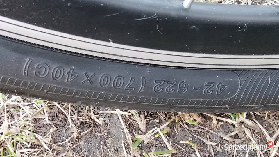 Rower damka Półwiosek Lubstowski