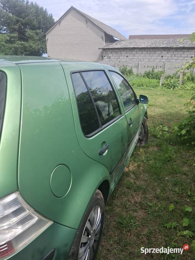 Volkswagen Golf 4 14 16v benzyna 00r limited 75KM Włoszczowa