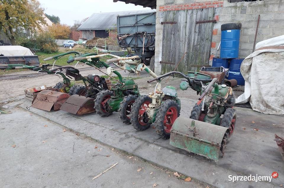 Glegogryzarki Agria pakiet 5 Grabów nad Prosną