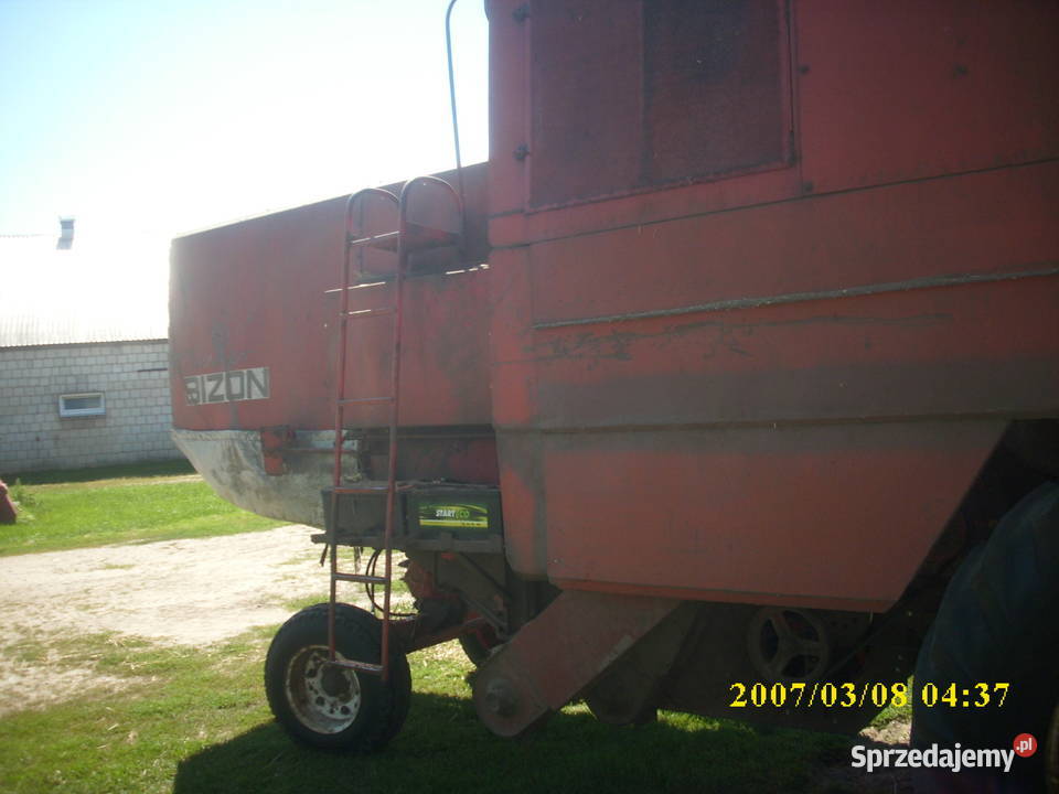Cielak Z056 Suchowola sprzedam