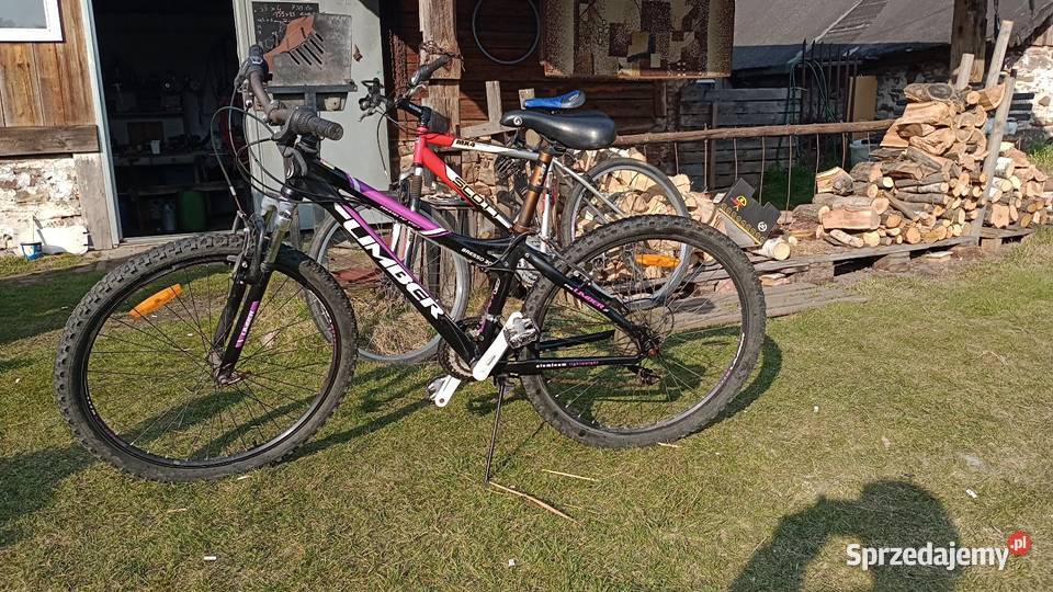 Złota rączka Suchedniów