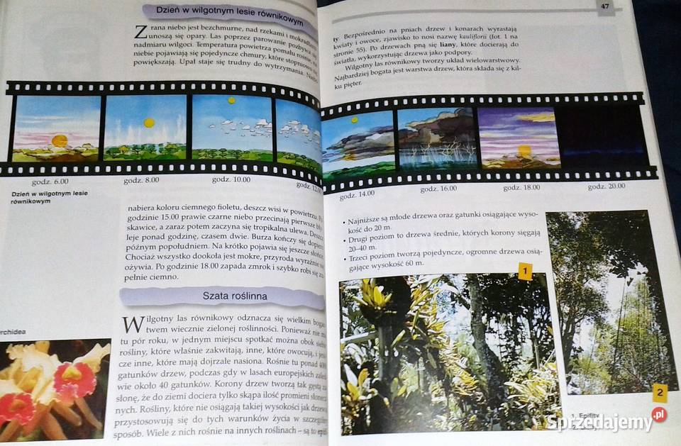 Geografia 5 Mirosław Czerny Andrzej Czerny Chełm