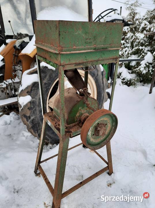 Śrutownik nieuszkodzony Bucze